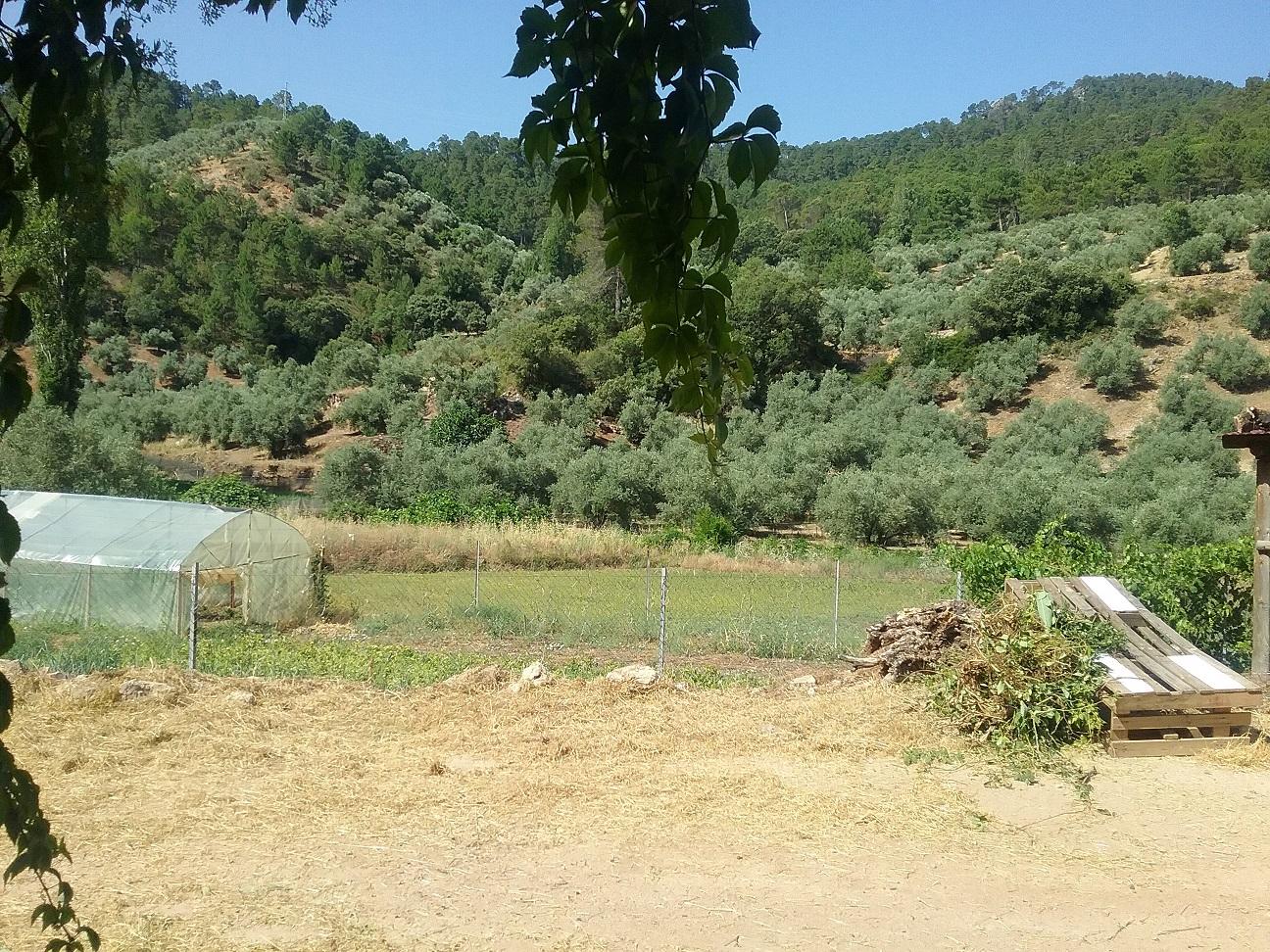 Finca en venta en Beas de Segura