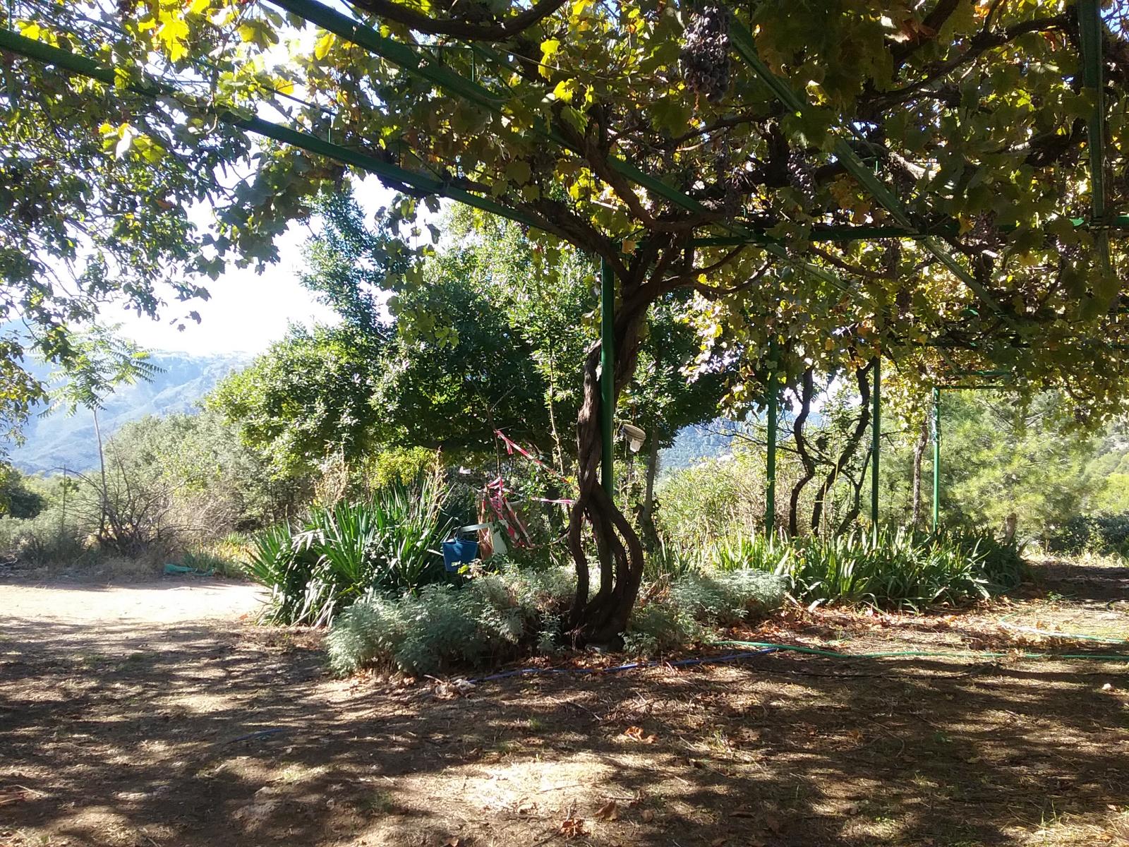 Grundstück zum verkauf in Siles