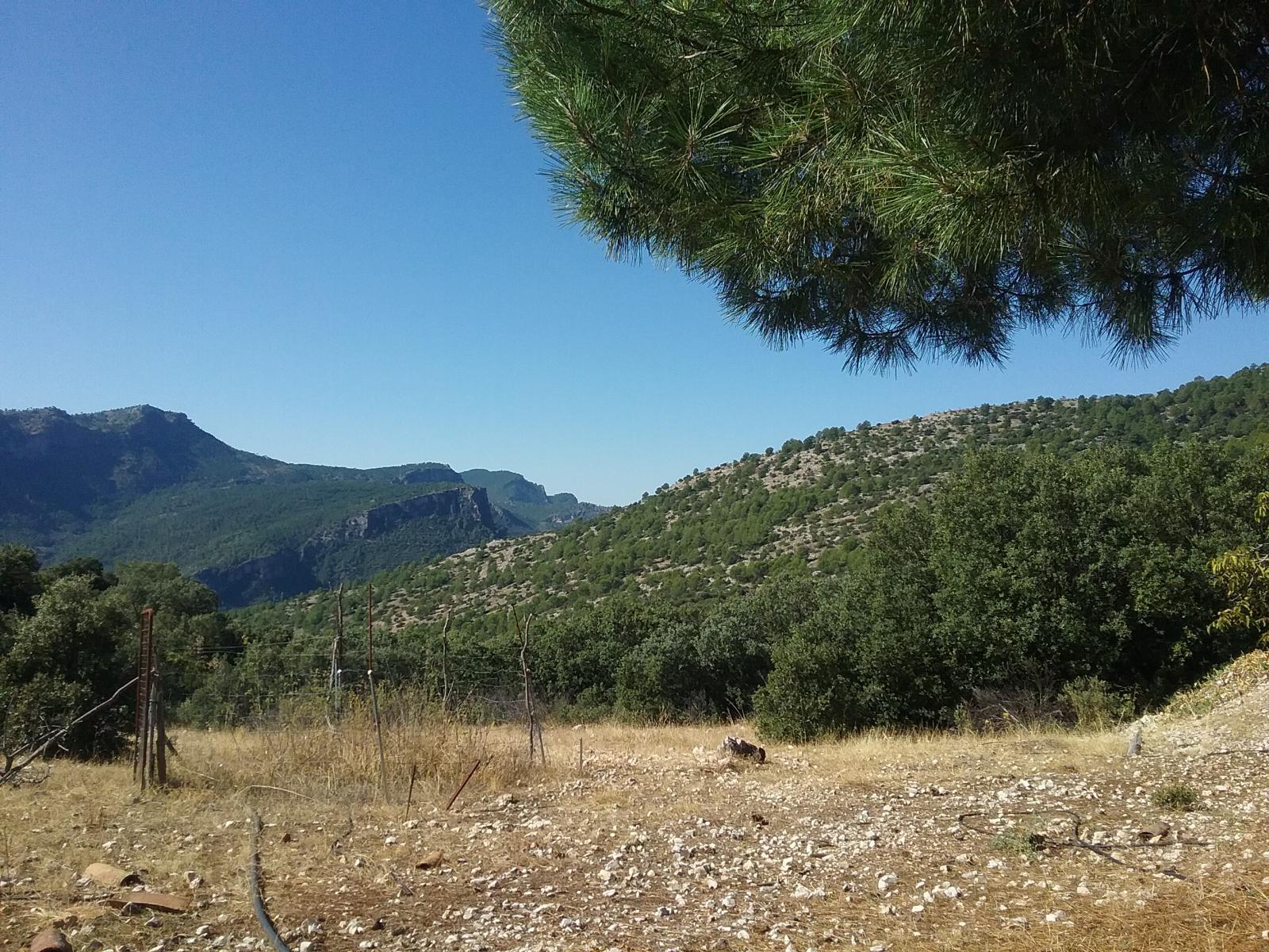 Finca en venta en Siles