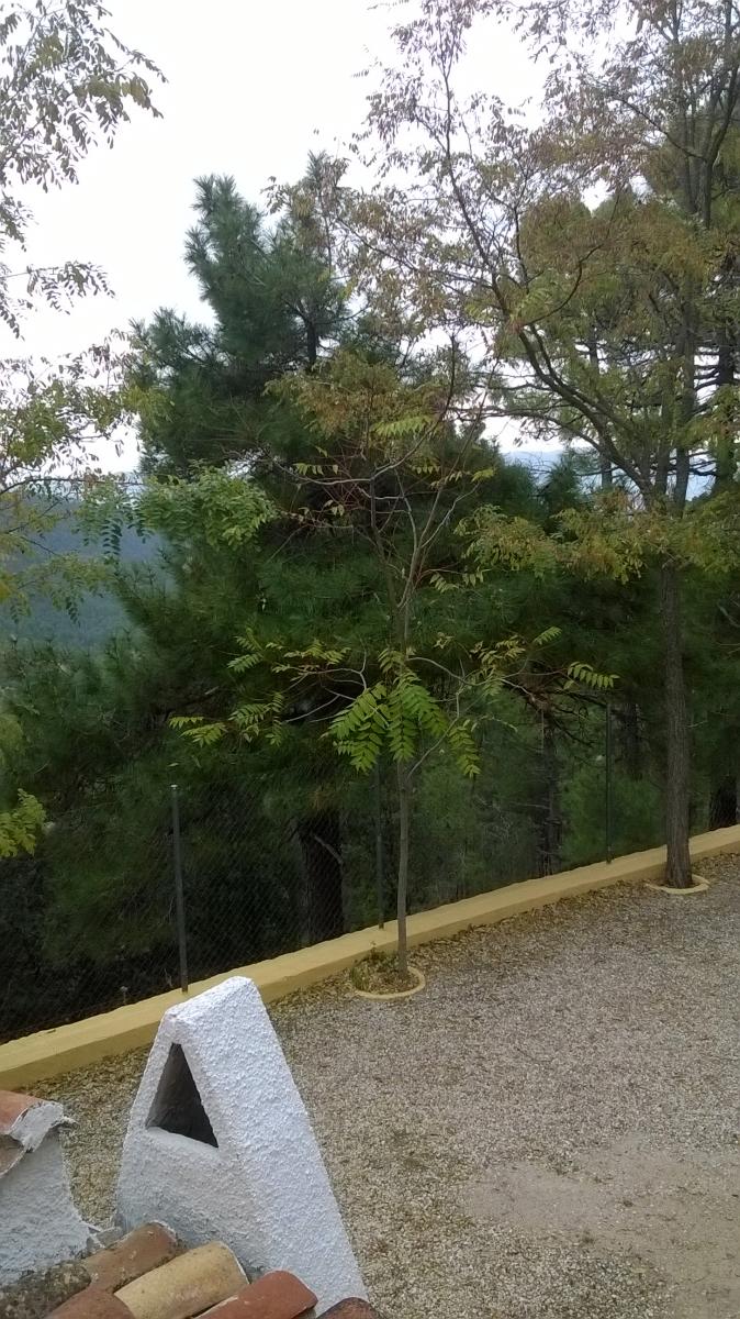 Country Property for sale in Siles