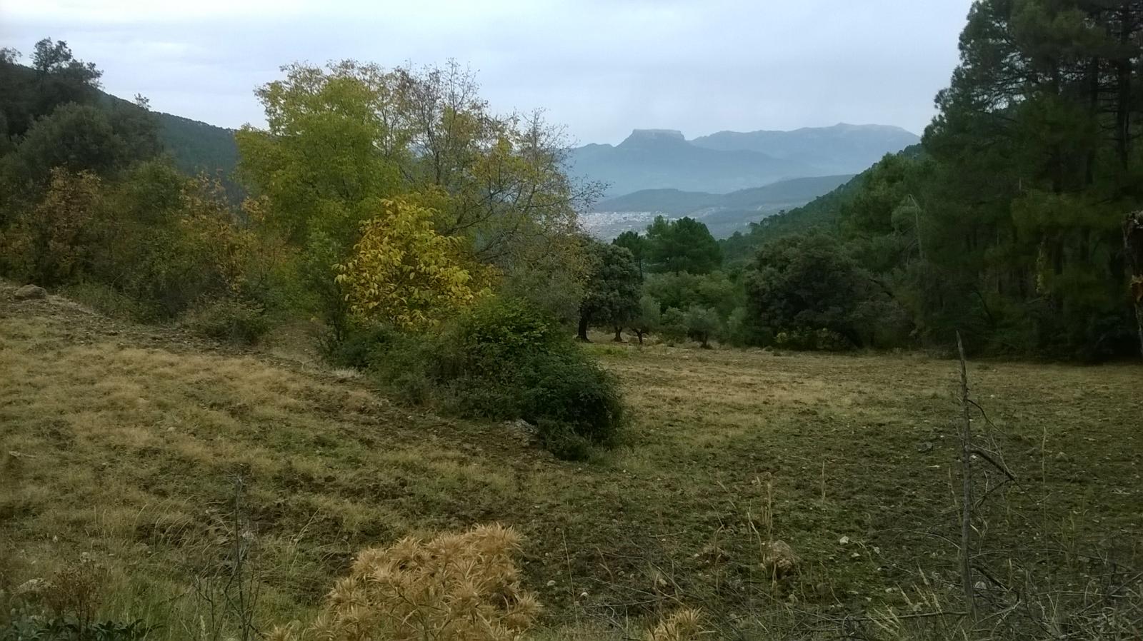 Grundstück zum verkauf in Siles