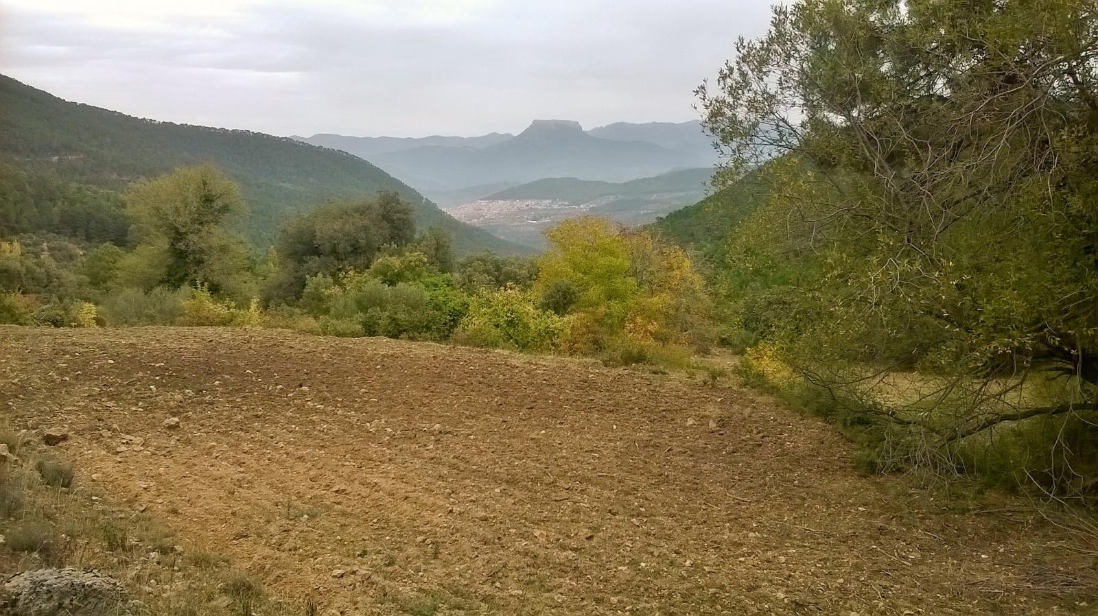 Finca en venta en Siles