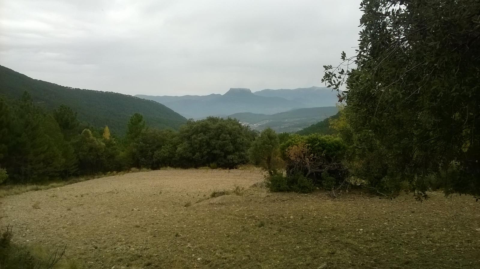 Grundstück zum verkauf in Siles