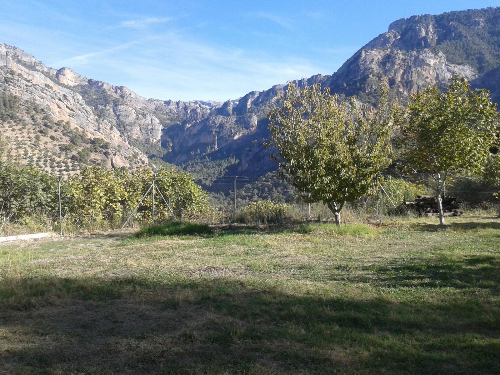 Finca en venta en Villacarrillo