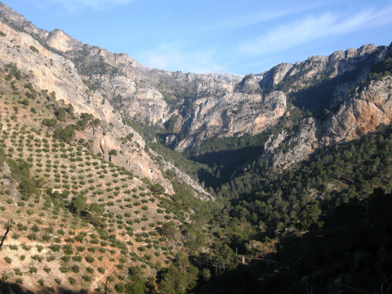 Finca en venta en Villacarrillo