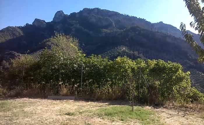 Finca en venta en Villacarrillo