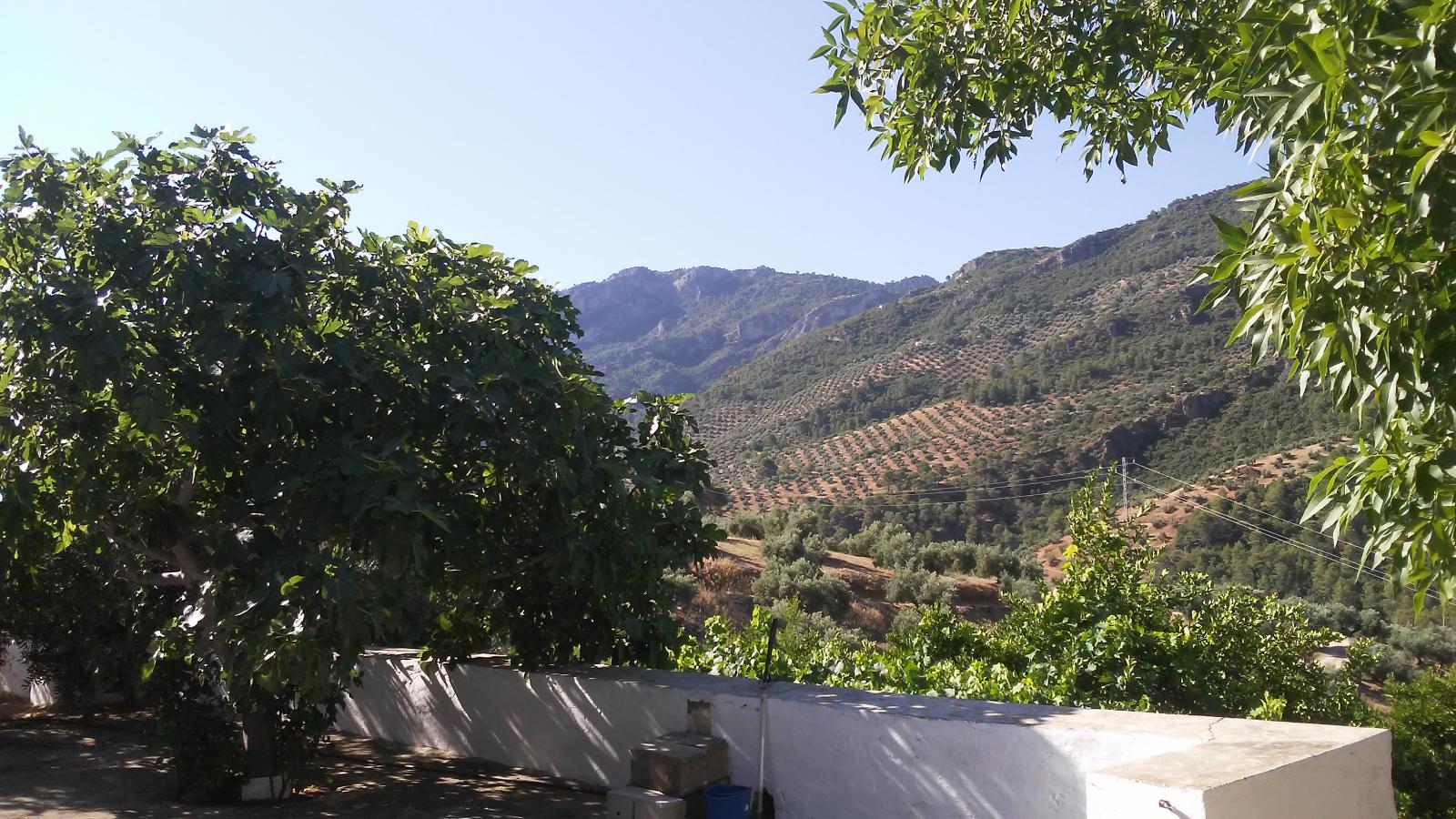 Maison en vente à Villacarrillo