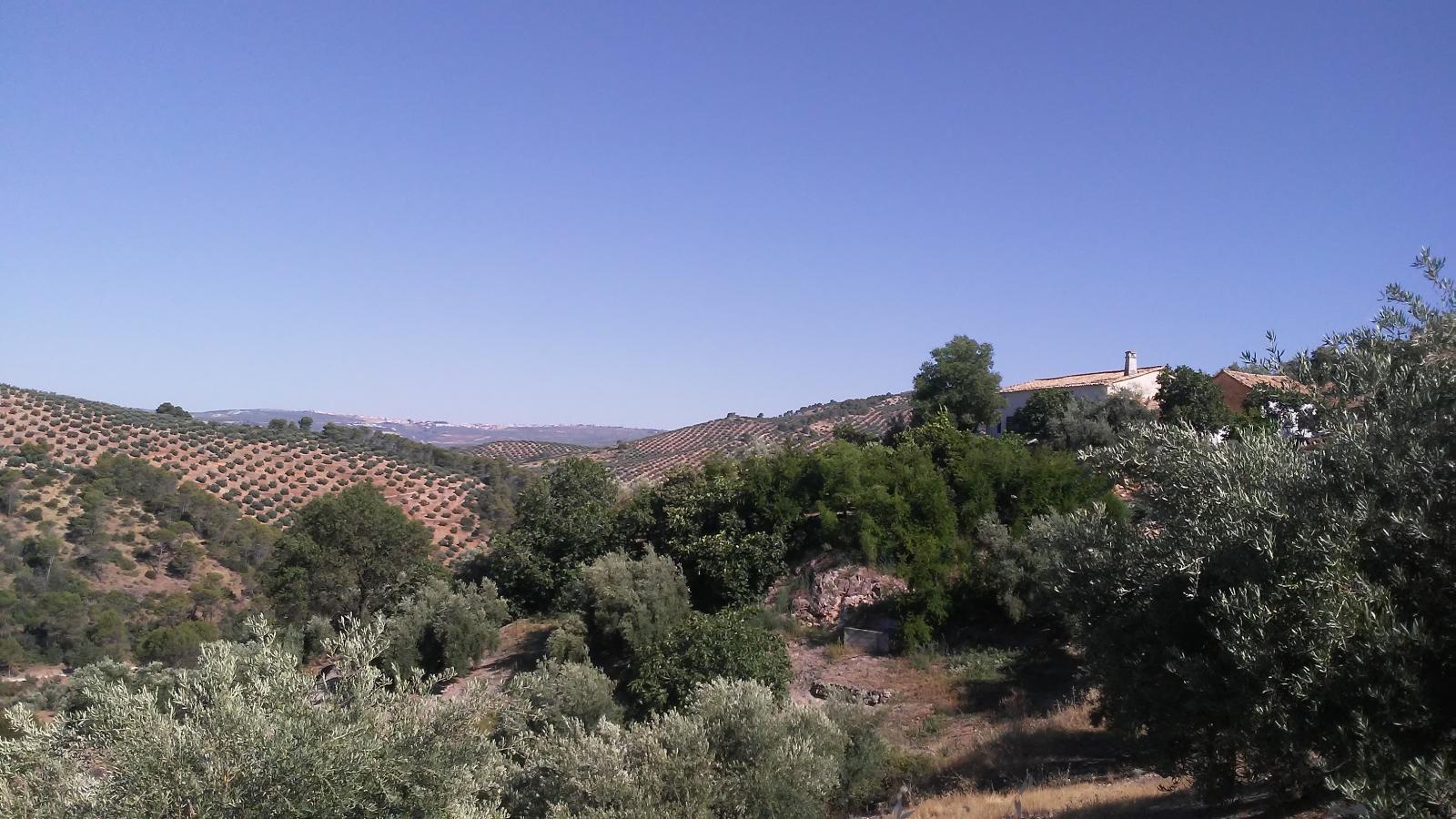 Maison en vente à Villacarrillo