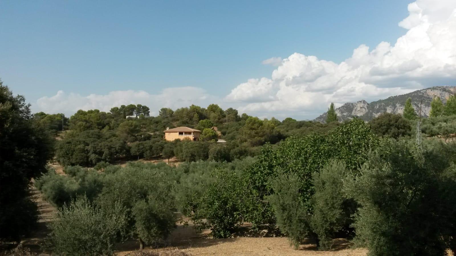 Pavillon en vente à Villacarrillo