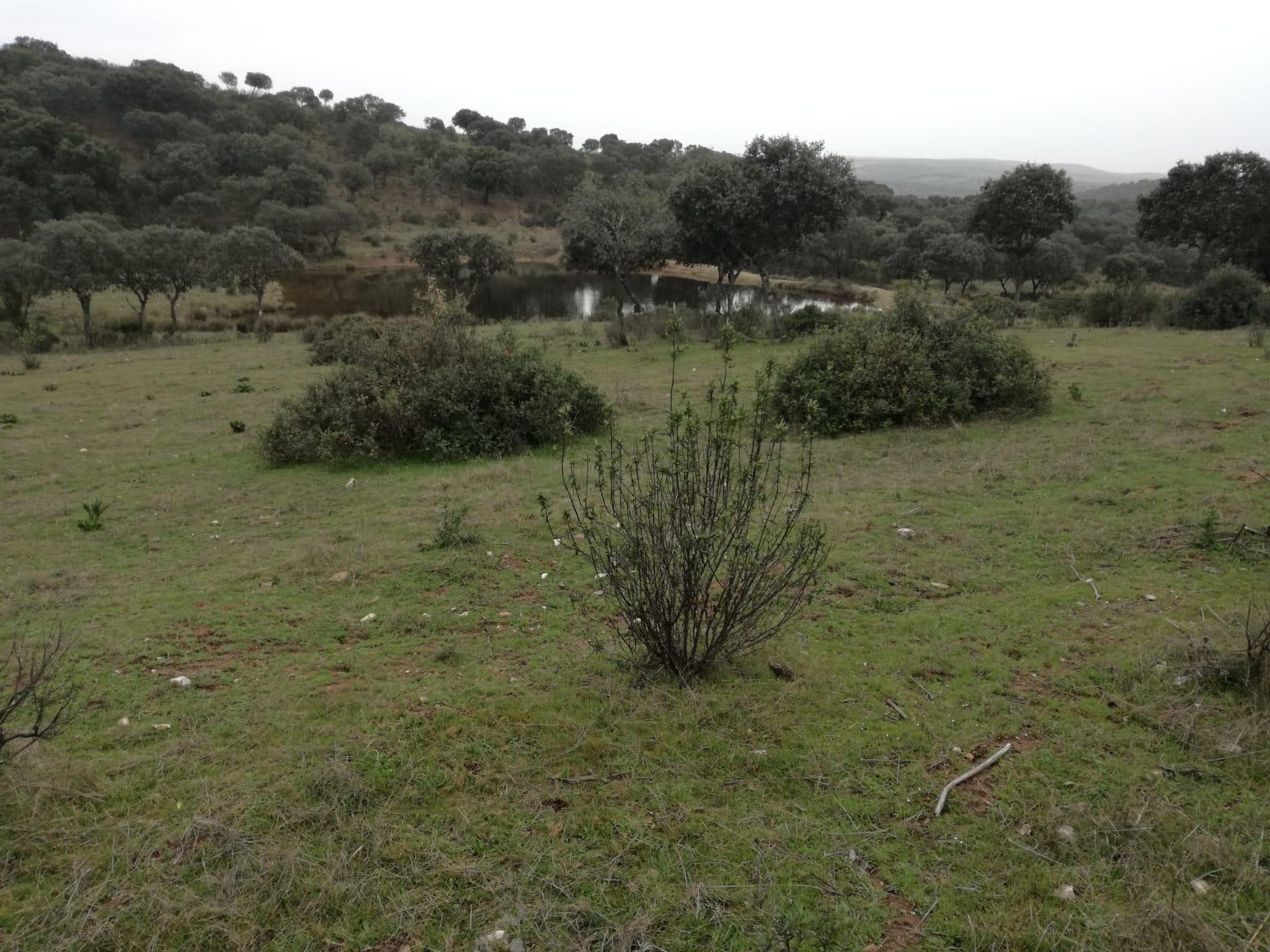 Country Property for sale in Andújar