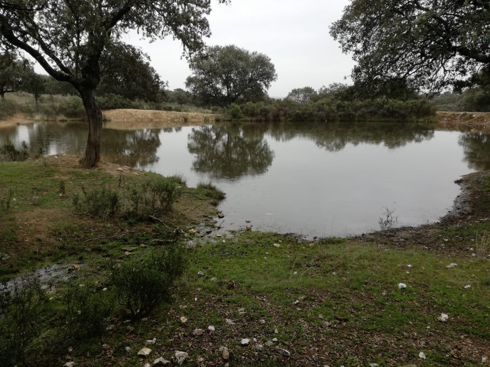 Finca en venta en Andújar