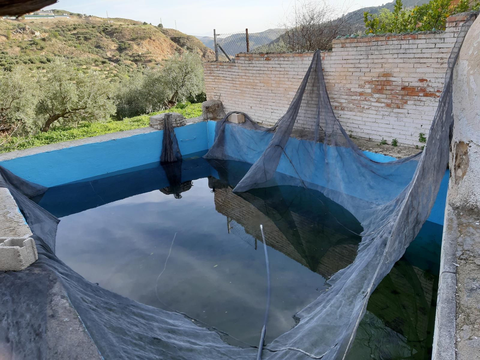 Finca en venta en Quesada