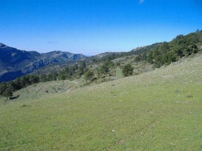 Country Property for sale in Iznatoraf