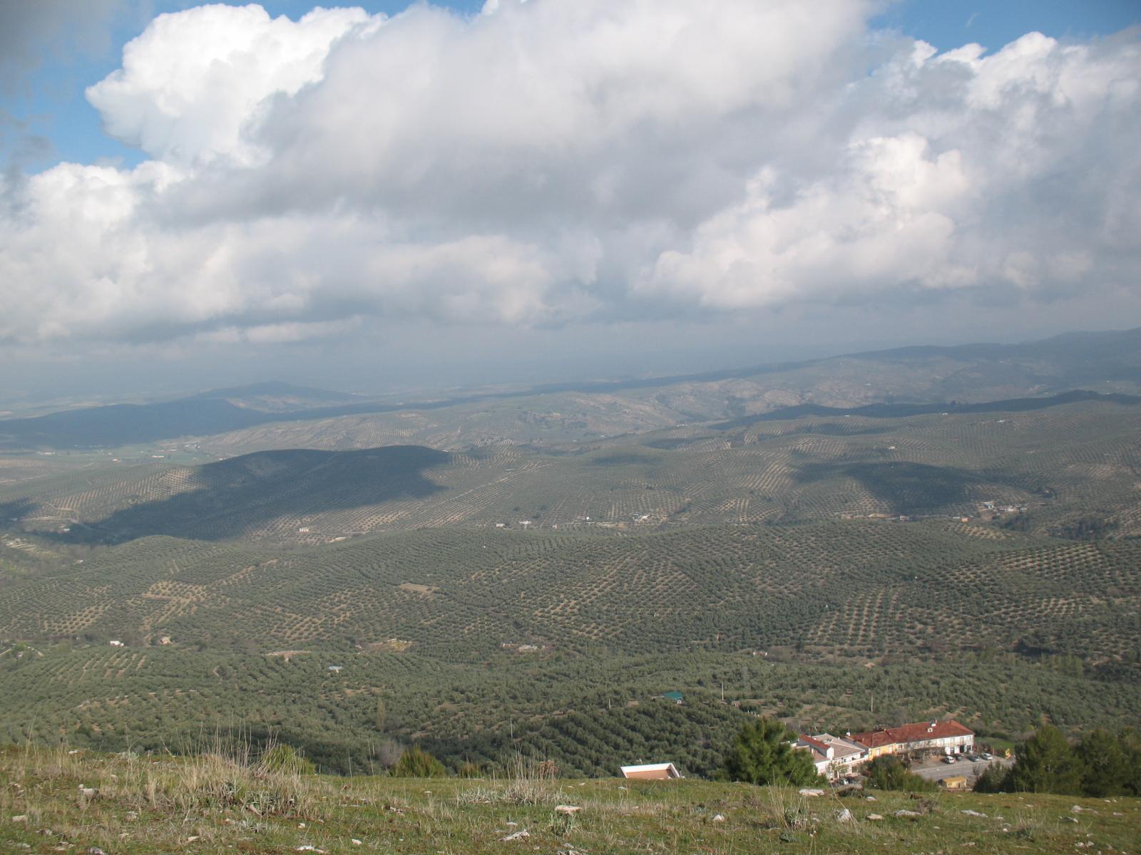 Parcelle en vente à La Iruela