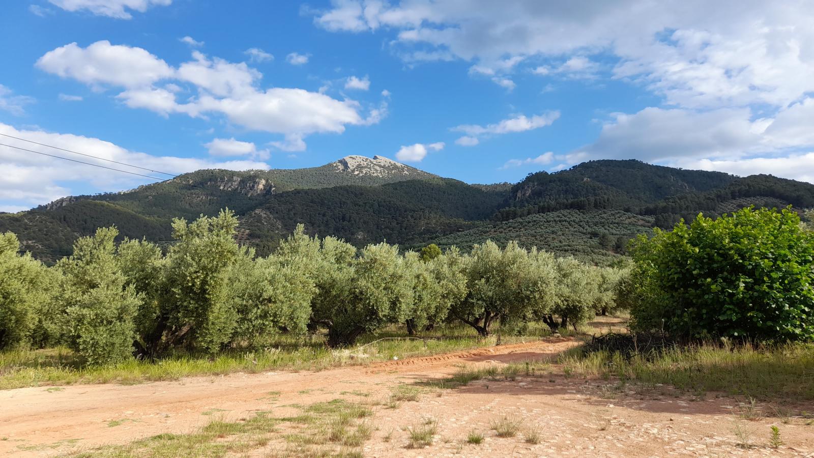 Country Property for sale in Segura de la Sierra