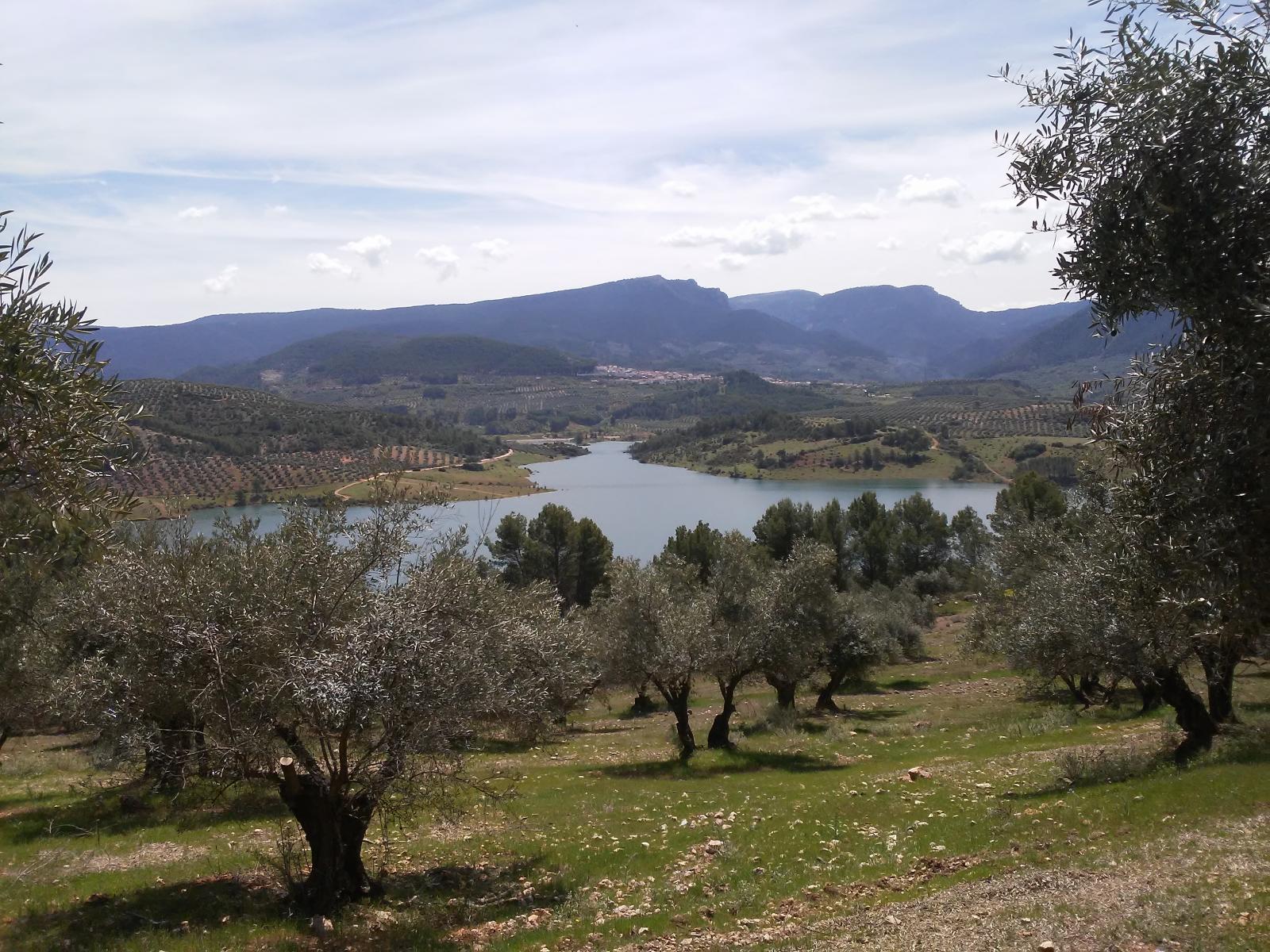 Pavillon en vente à Siles