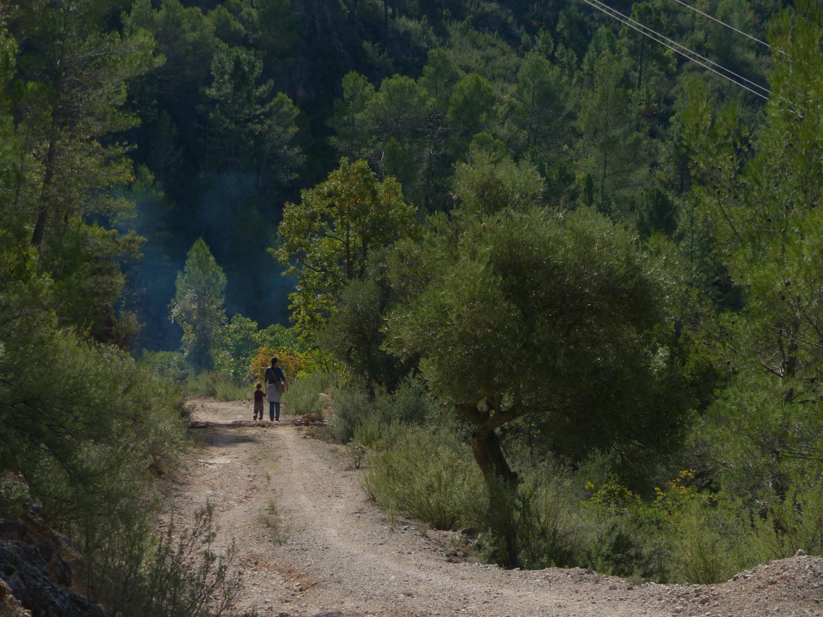 Finca en venta en Hornos