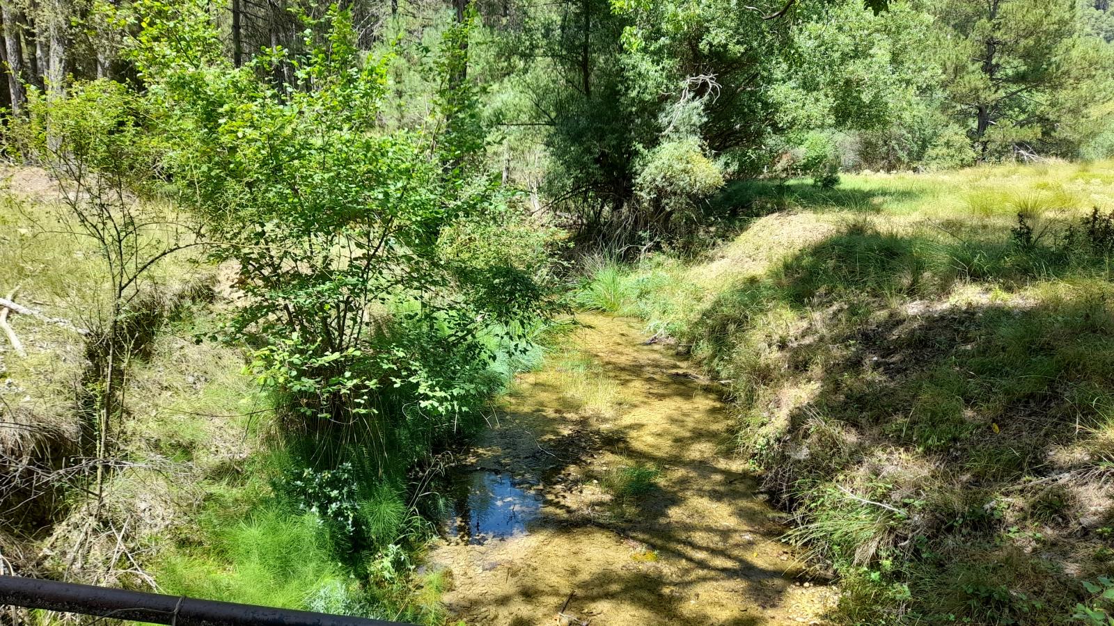 Grundstück zum verkauf in Siles