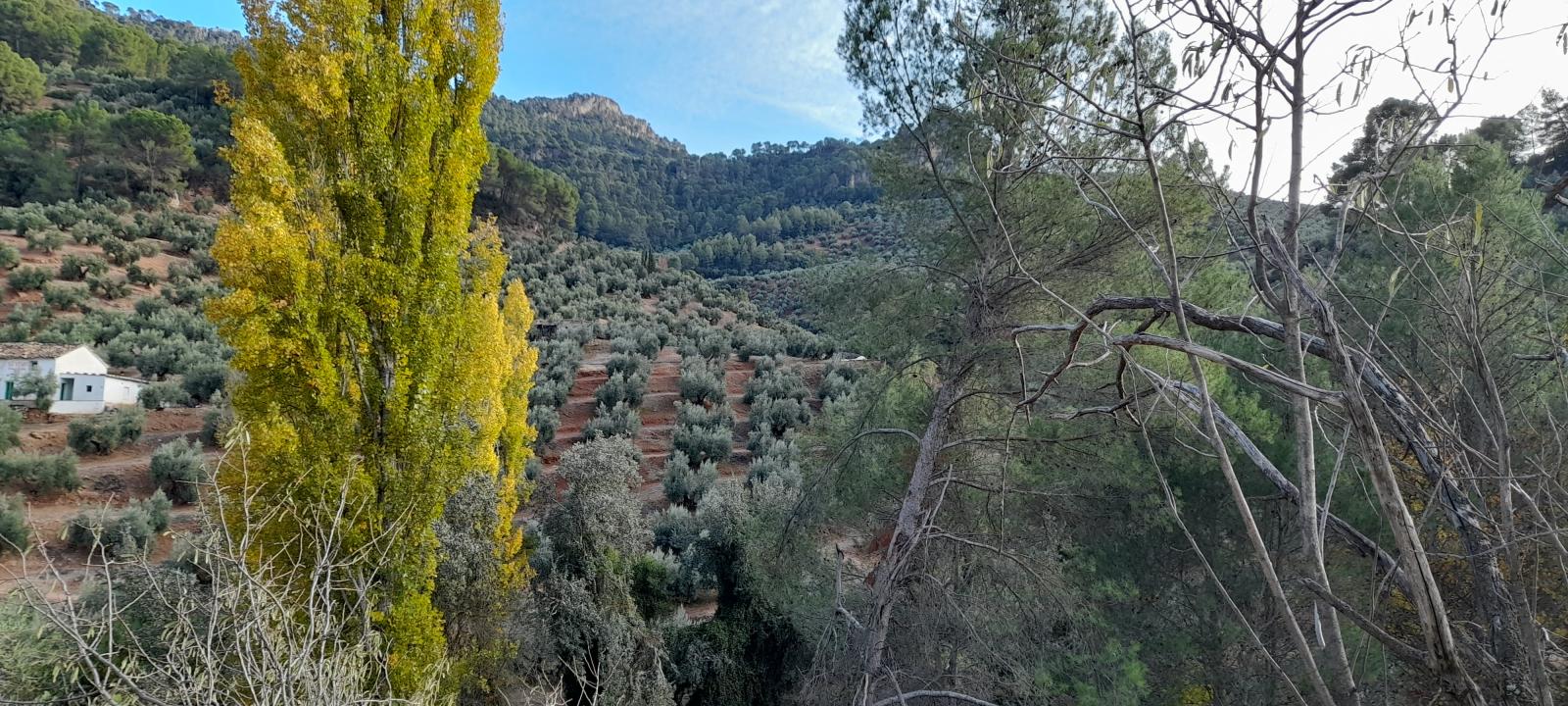 Country Property for sale in Villanueva del Arzobispo