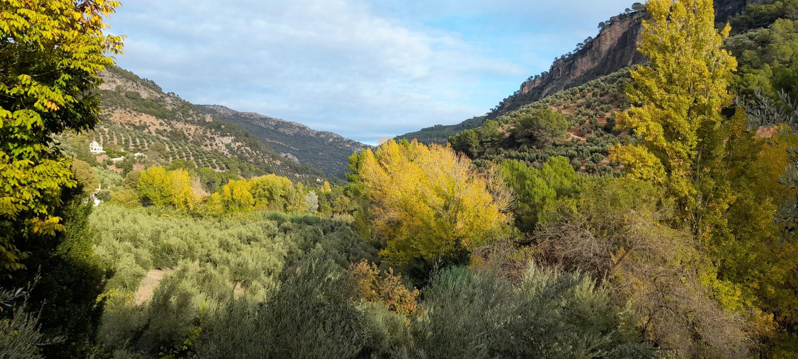 Country Property for sale in Villanueva del Arzobispo