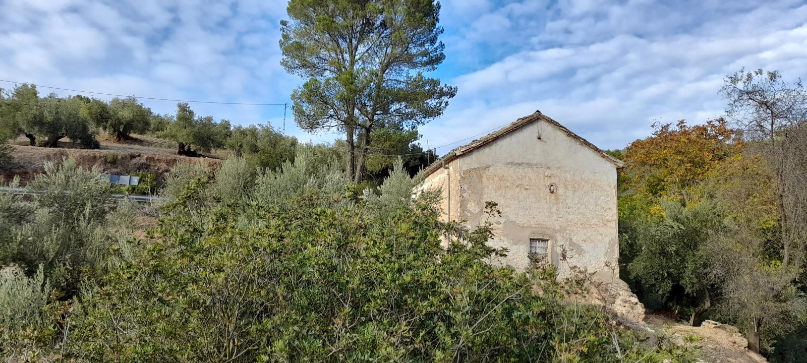 Country Property for sale in Villanueva del Arzobispo