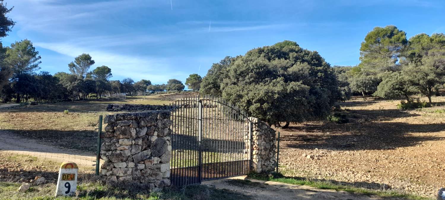 Land for Rural Hotel or Camping "ECO" in the Sierra de Las Villas.