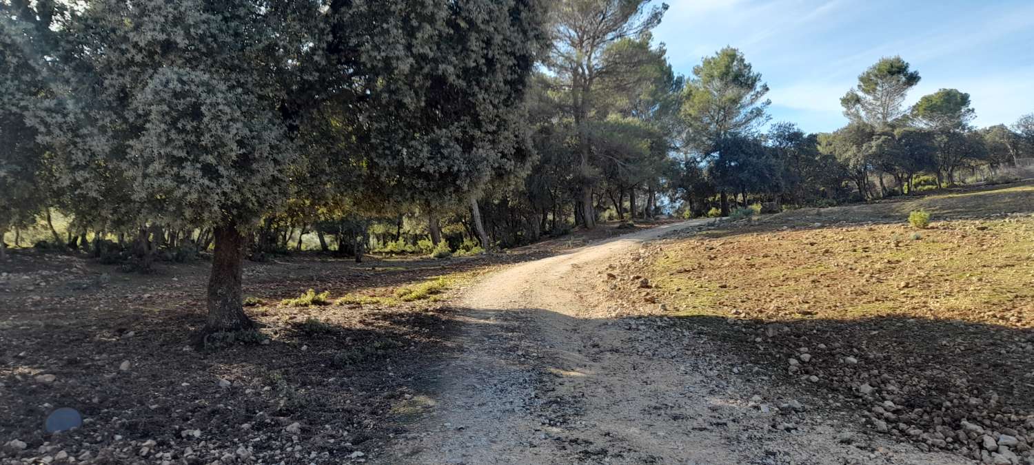 Land for Rural Hotel or Camping "ECO" in the Sierra de Las Villas.