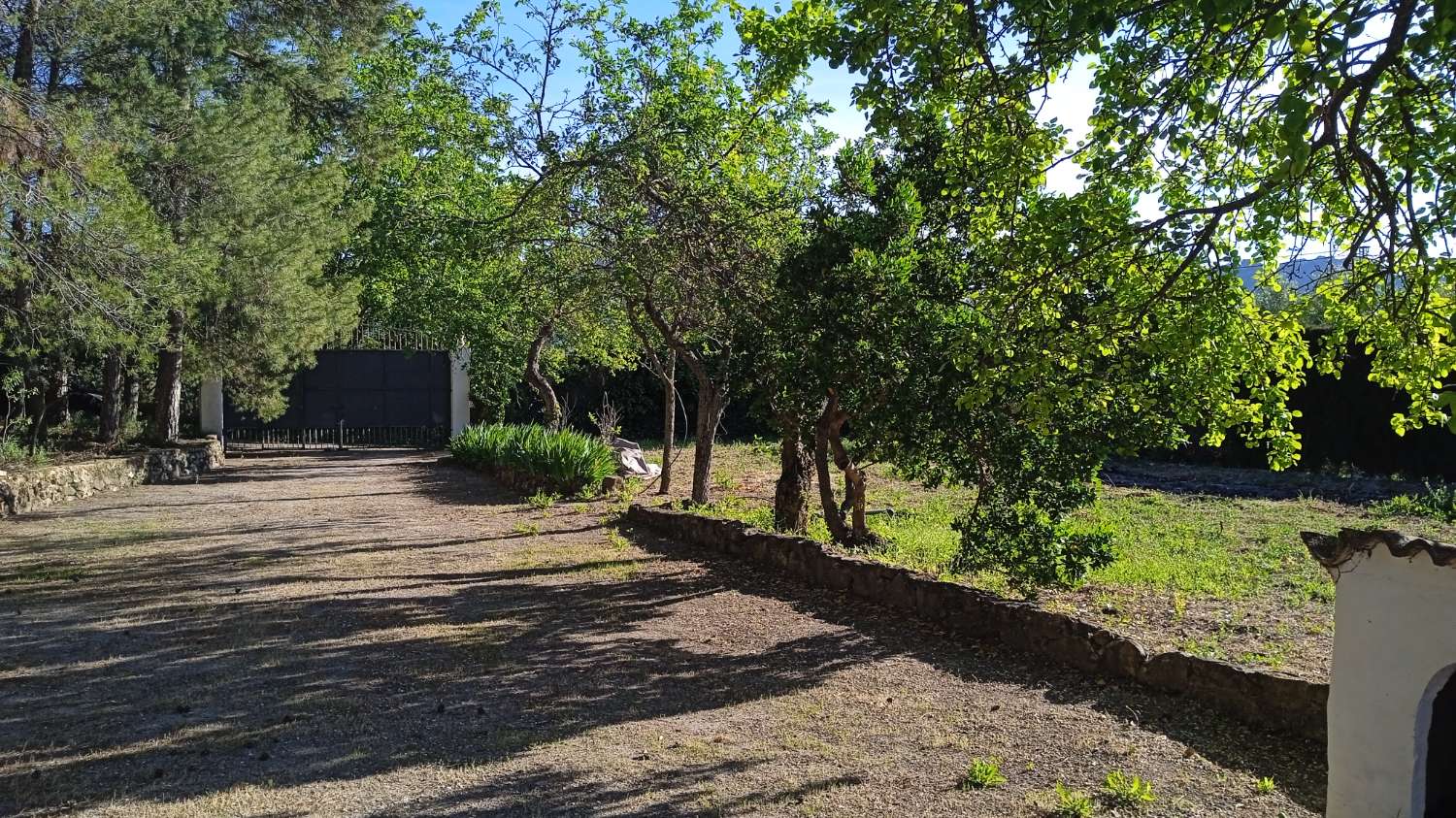 Finca près de Quesada.