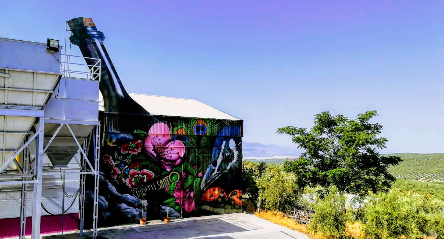 Finca con cotijo, almazara y alivar ecológico